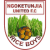 Ngoketunjia logo