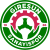 Giresun Sanayispor W logo