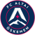 Altai logo