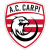 Carpi logo