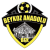Beykoz Anadolu logo