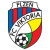 Plzen W logo