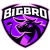 Bigbro logo
