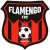 Flamengo FBC W logo
