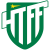 Hammarby TFF logo