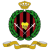 DPMM logo