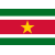 Suriname U17 logo