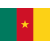 Cameroon W logo