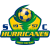 Hurricanes logo
