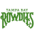 Tampa Bay logo