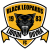 Black Leopards logo
