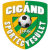 Cigand SE logo