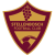 Stellenbosch FC U23 logo