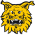 Ilves W logo