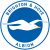 Brighton U18 logo
