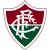 Fluminense U20 W logo