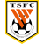Shandong Taishan logo