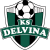 Delvina logo