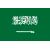 Saudi Arabia U17 logo