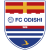 Odishi 1919 logo
